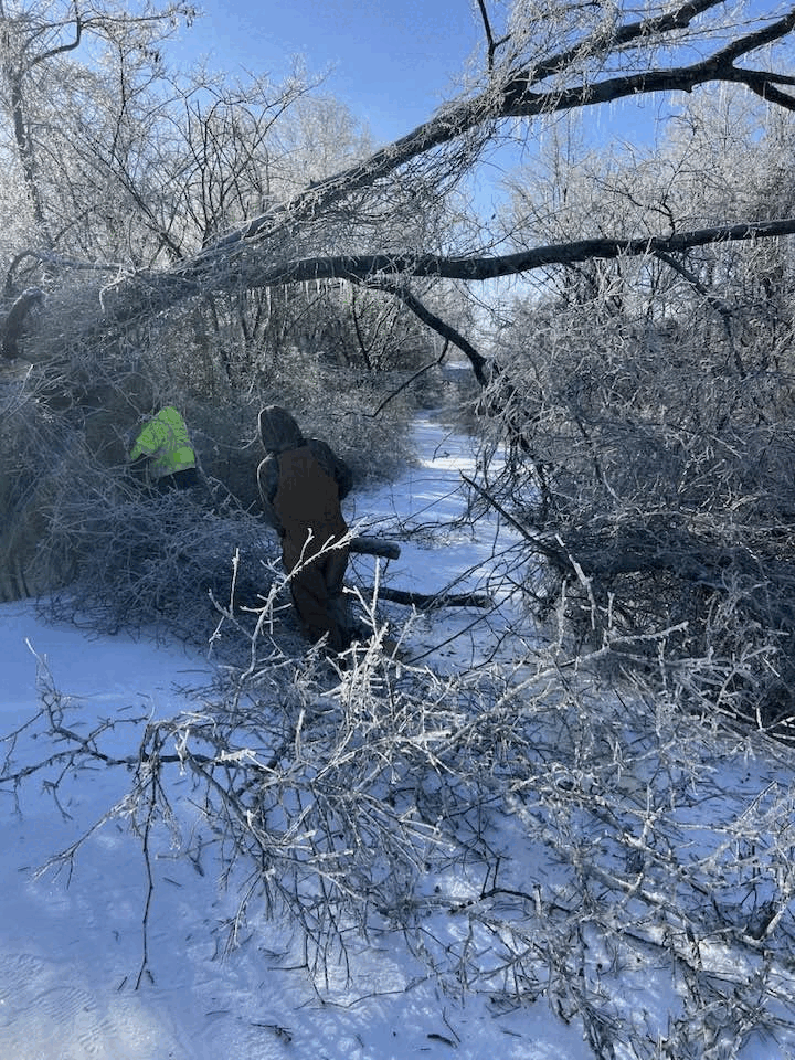CoCo's Roll Offs on the job